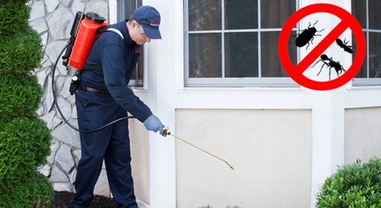 Akıncılar Kemirgen İlaçlama böcek ilaçlama ve haşere kontrolü — ilaclama-tr.com